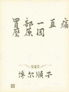 胃部一直痛是什么原因