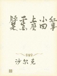 脖子上小红疙瘩是怎么回事