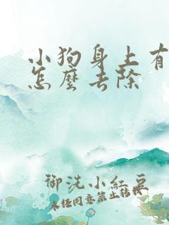 小狗身上有狗味怎么去除