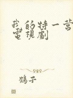 我的特一营完整电视剧