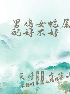 男鸡女蛇属相婚配好不好