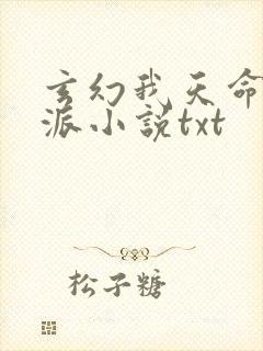 玄幻我天命大反派小说txt