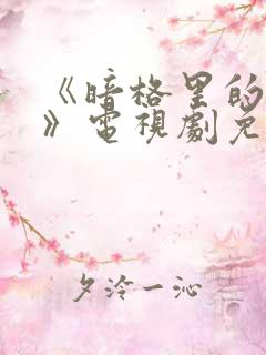 《暗格里的秘密》电视剧免费观看