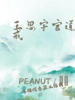 王思宇官道之色戒