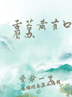 舌苔黄有口臭怎么办