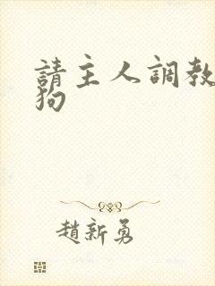 请主人调教骚母狗