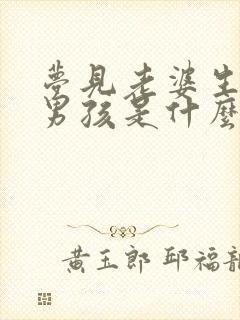 梦见老婆生了个男孩是什么征兆