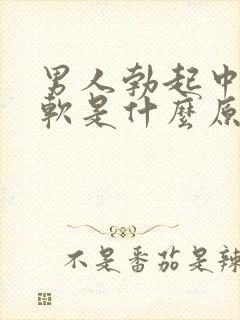 男人勃起中途变软是什么原因引起的