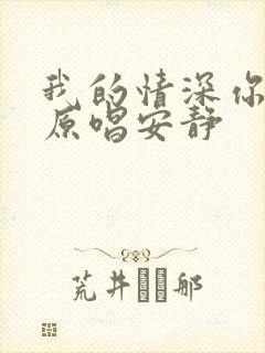 我的情深你若懂原唱安静