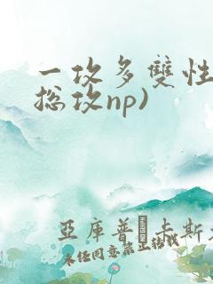 一攻多双性受(总攻np)