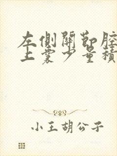 左侧关节腔及髌上囊少量积液