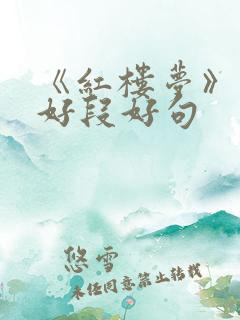 《红楼梦》摘抄好段好句