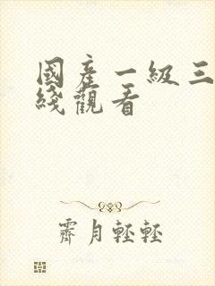 国产一级三级在线观看