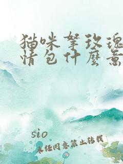 猫咪拿玫瑰花表情包什么意思