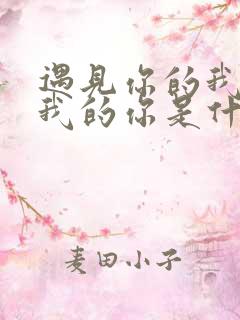 遇见你的我遇见我的你是什么歌