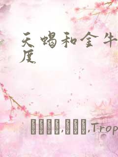 天蝎和金牛匹配度