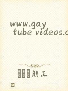 www.gay tube videos.com