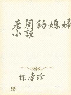 老周的媳妇赵青小说