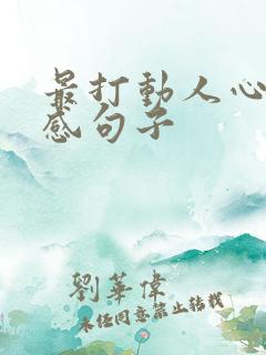 最打动人心的情感句子