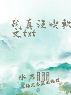 我真没吃软饭全文txt