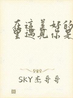 在这美好的年华里遇见你是什么歌