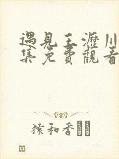 遇见王沥川38集免费观看238