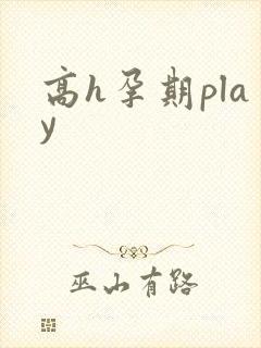高h孕期play