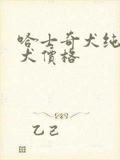 哈士奇犬纯种幼犬价格