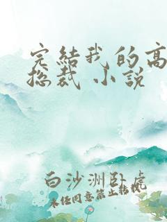 完结我的高冷女总裁 小说