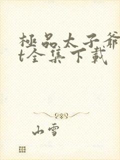 极品太子爷txt全集下载