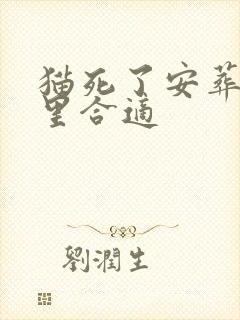 猫死了安葬在哪里合适