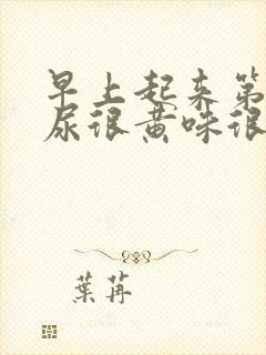 早上起来第一泡尿很黄味很重