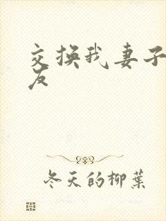 交换我妻子的朋友