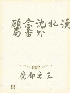 顾念沈北漠大结局番外