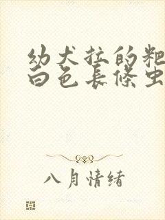 幼犬拉的粑粑有白色长条虫子