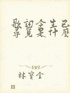 歌词今生已不再寻觅是什么歌