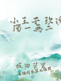 小王子 玫瑰花 独一无二