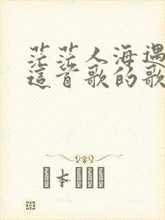 茫茫人海遇到你这首歌的歌名是什么