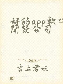 好的app软件开发公司