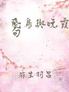 飞鸟与晚霞的诗句