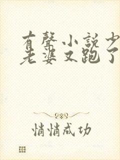 有声小说少帅你老婆又跑了