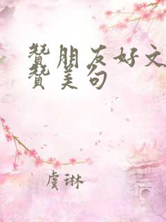 赞朋友好文采的赞美句