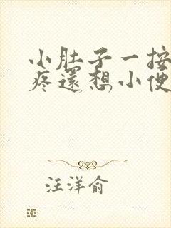 小肚子一按压就疼还想小便怎么回事