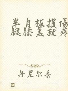 半月板损伤伸直腿膝盖就疼怎么治