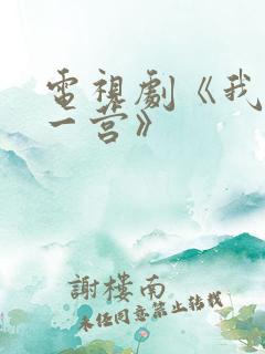 电视剧《我的特一营》