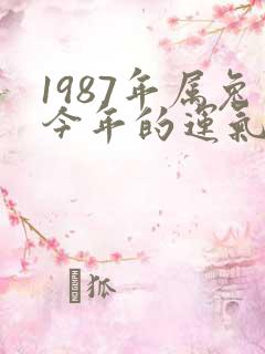 1987年属兔今年的运气怎么样