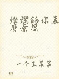 灿烂的你表达什么意思