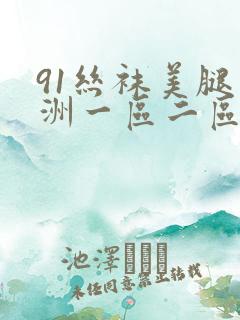 91丝袜美腿亚洲一区二区