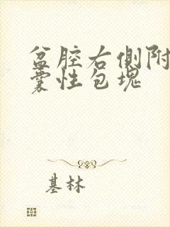 盆腔右侧附件区囊性包块