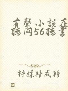 有声小说在线收听网56听书网